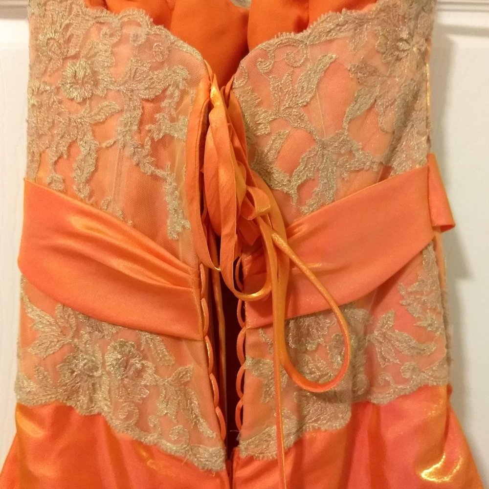 Prom/Formal Gown - Picture 5 of 8